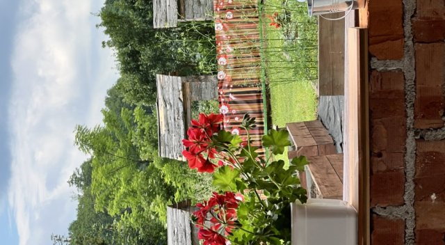 course image